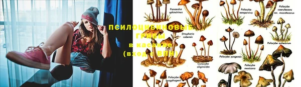 метамфетамин Гвардейск