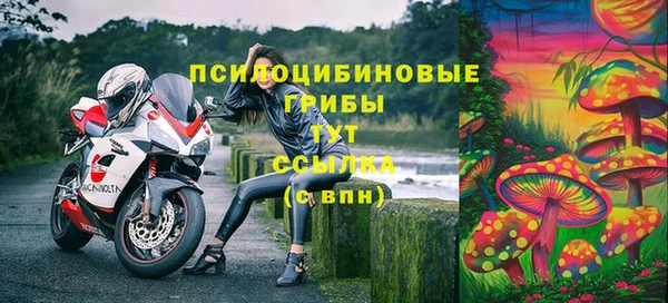 mdpv Снежинск