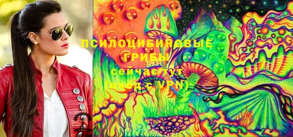 apvp Сосновый Бор