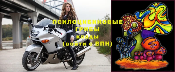 apvp Сосновый Бор