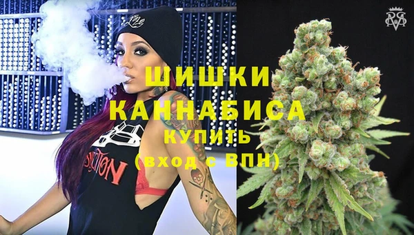 mdpv Снежинск