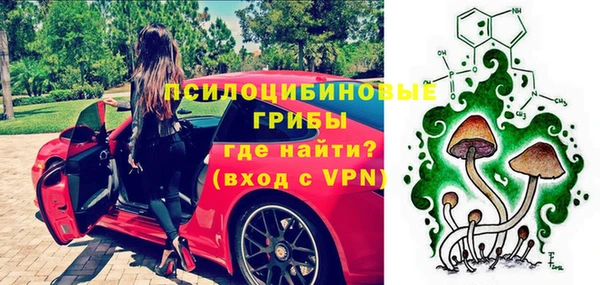 mdpv Снежинск