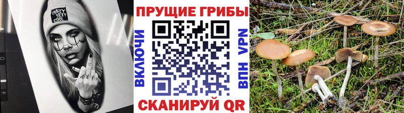 Галлюциногенные грибы мицелий  Биробиджан 