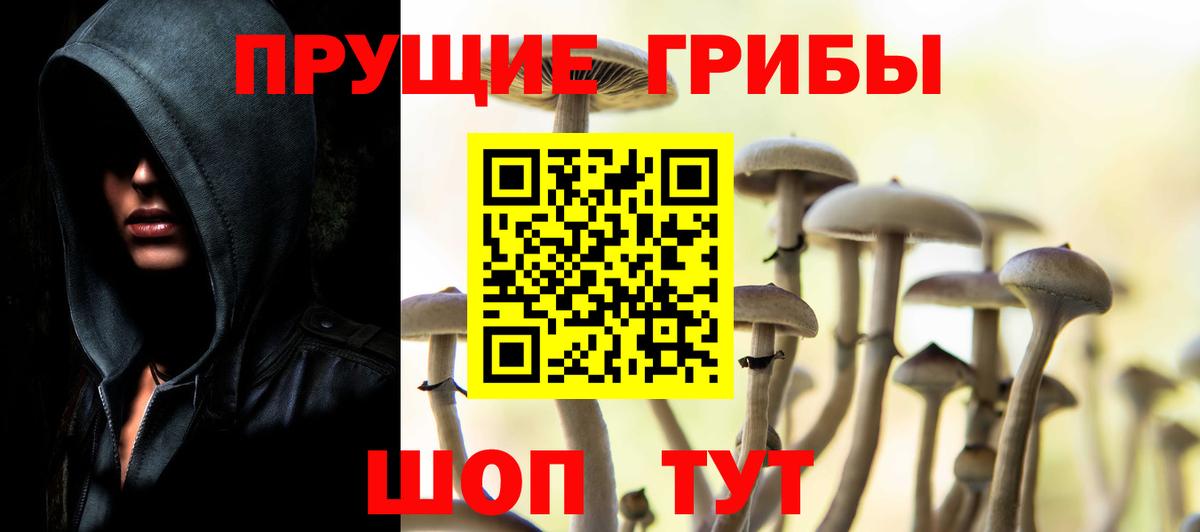 Биробиджан  Галлюциногенные грибы мицелий  Вход с VPN  Галлюциногенные грибы Magic Shrooms 
